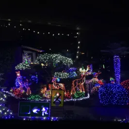 a christmas tree lit up at night