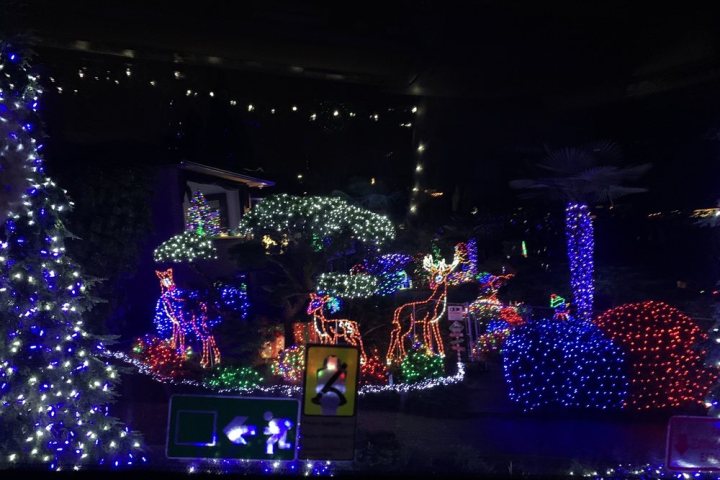a christmas tree lit up at night