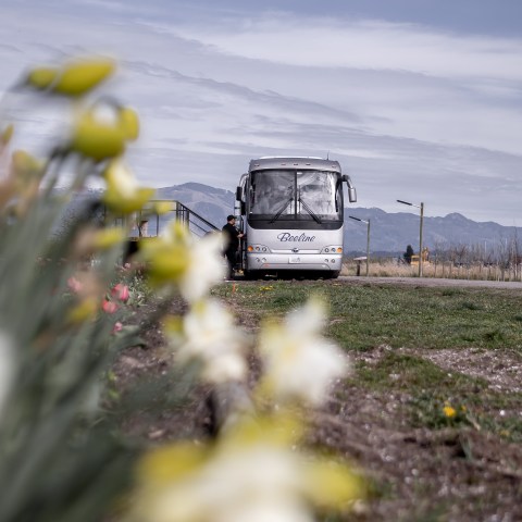 a bus driving down a dirt road