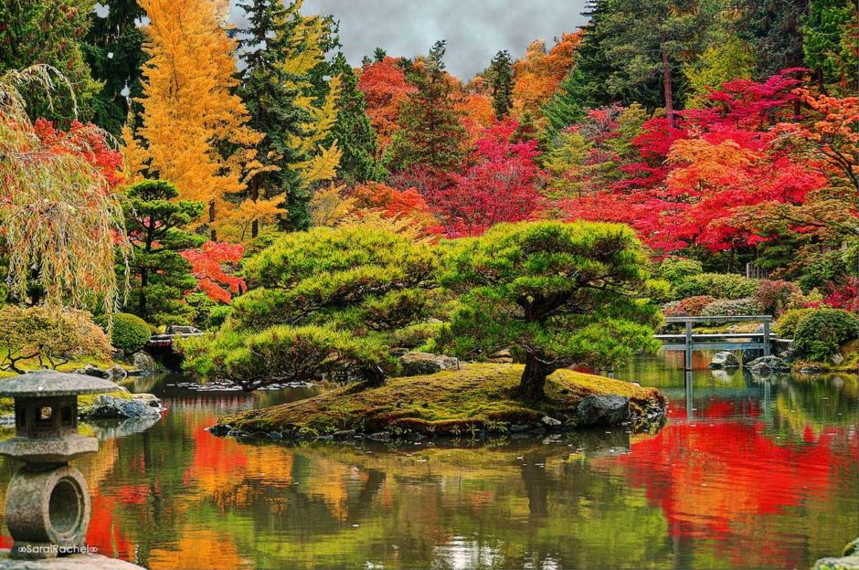 Japanese garden in autumn with colorful trees, pond, and stone lantern.