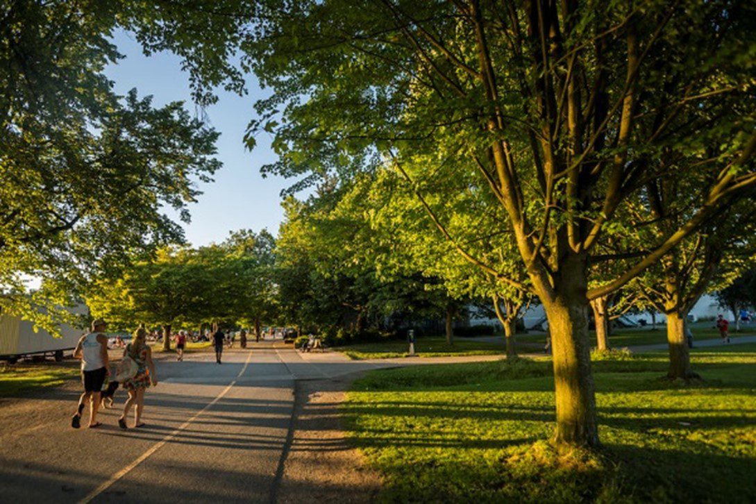 People walk on a tree-lined path in a park during sunset.